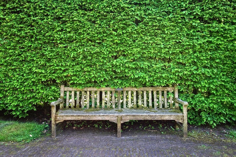 Cinder Block Outdoor Bench