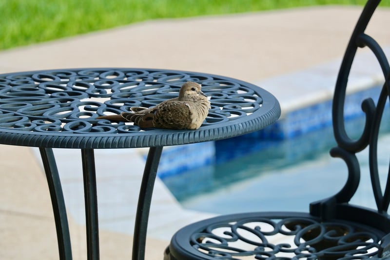 Patio Furniture